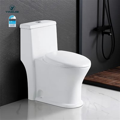 Comment mettre à niveau des toilettes monoblocs lors de leur installation ?